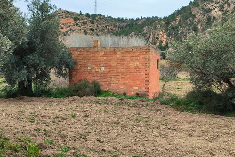 Landejendom i Asco, Tarragona, Asco - € 29.000 | Ref: 943 Kristina - foto 32
