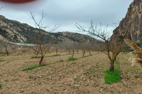 Landejendom i Asco, Tarragona, Asco - € 29.000 | Ref: 943 Kristina - foto 21