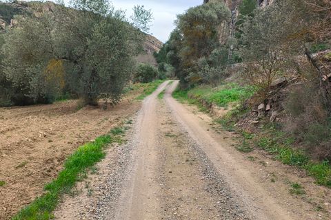 Landejendom i Asco, Tarragona, Asco - € 29.000 | Ref: 943 Kristina - foto 31