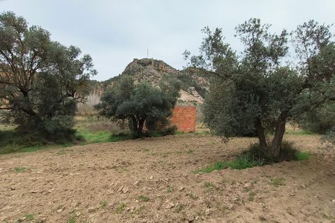 Landejendom i Asco, Tarragona, Asco - € 29.000 | Ref: 943 Kristina - foto 29