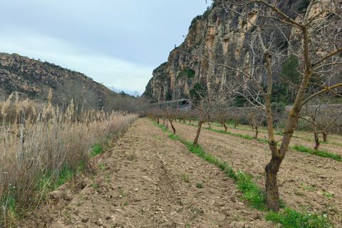 Landejendom i Asco, Tarragona, Asco - € 29.000 | Ref: 943 Kristina - foto 24