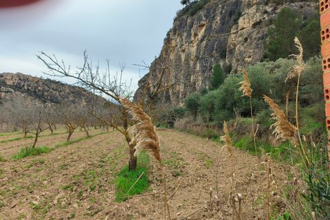Landejendom i Asco, Tarragona, Asco - € 29.000 | Ref: 943 Kristina - foto 20