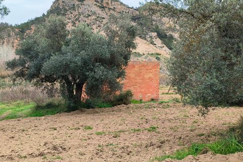 Landejendom i Asco, Tarragona, Asco - € 29.000 | Ref: 943 Kristina - foto 33