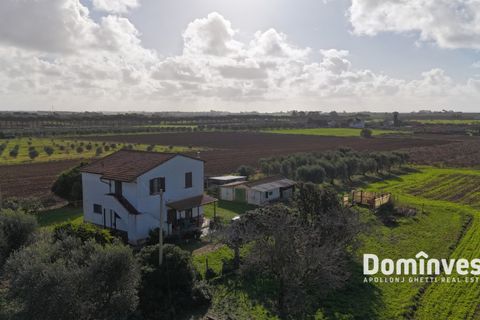 Landejendom i Capalbio, Grosseto, Capalbio - € 950.000 | Ref: v-160 - foto 2