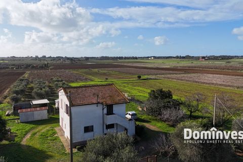 Landejendom i Capalbio, Grosseto, Capalbio - € 950.000 | Ref: v-160 - foto 3