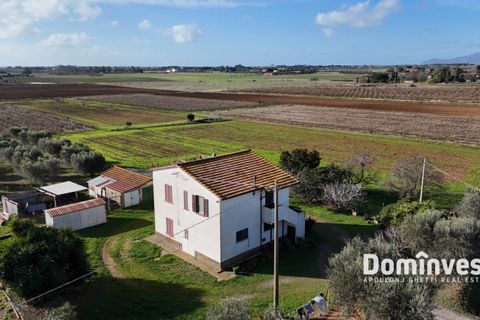 Landejendom i Capalbio, Grosseto, Capalbio - € 950.000 | Ref: v-160 - foto 5