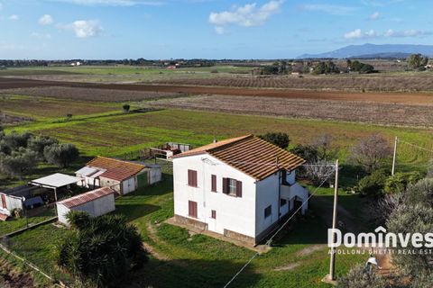 Landejendom i Capalbio, Grosseto, Capalbio - € 950.000 | Ref: v-160 - foto 6
