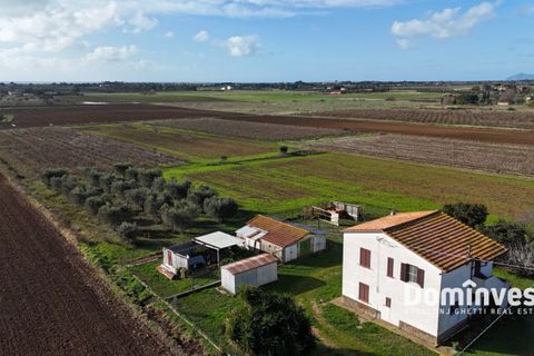 Landejendom i Capalbio, Grosseto, Capalbio - € 950.000 | Ref: v-160 - foto 7