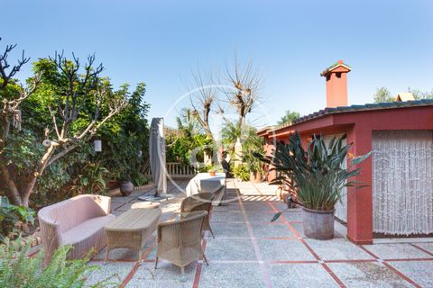 Villa a Burriana, Castellon, Burriana - € 1.300.000 | Ref: VV2502017 - foto 37