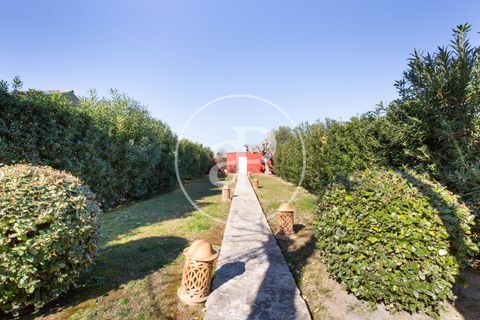 Villa a Burriana, Castellon, Burriana - € 1.300.000 | Ref: VV2502017 - foto 49