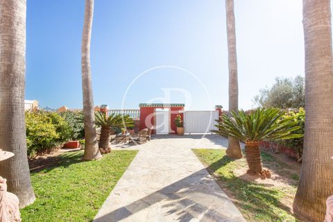 Villa a Burriana, Castellon, Burriana - € 1.300.000 | Ref: VV2502017 - foto 50