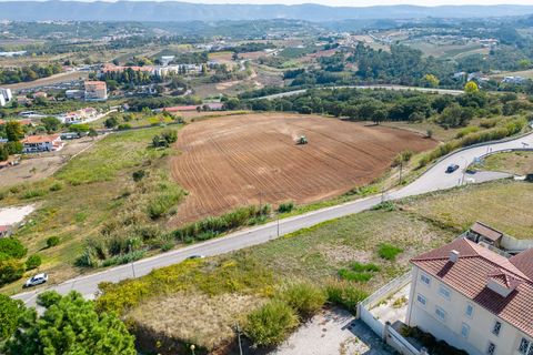 Helårsgrund i Alcobaca, Leiria, Alcobaca - € 110.000 | Ref: DHL131 - foto 3