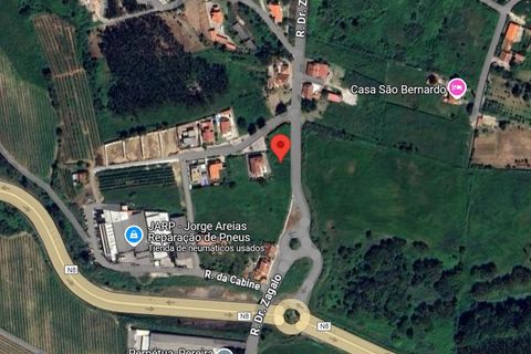 Helårsgrund i Alcobaca, Leiria, Alcobaca - € 110.000 | Ref: DHL131 - foto 16