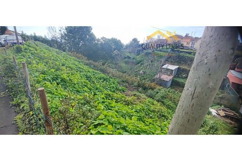 Helårsgrund i Camacha, Madeira, Camacha - € 49.500 | Ref: QL127/2025 - foto 1