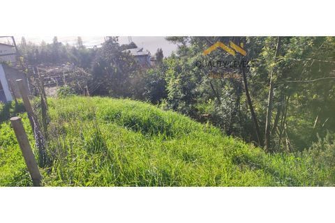 Helårsgrund i Camacha, Madeira, Camacha - € 49.500 | Ref: QL127/2025 - foto 2