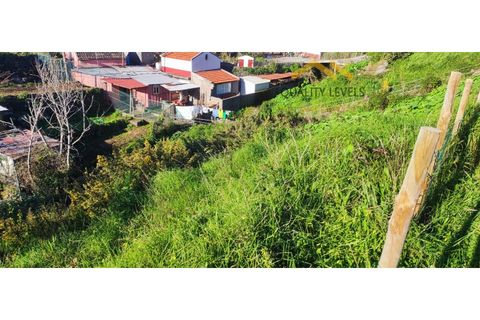 Helårsgrund i Camacha, Madeira, Camacha - € 49.500 | Ref: QL127/2025 - foto 3