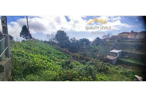 Helårsgrund i Camacha, Madeira, Camacha - € 49.500 | Ref: QL127/2025 - foto 4