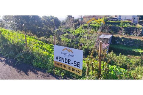 Helårsgrund i Camacha, Madeira, Camacha - € 49.500 | Ref: QL127/2025 - foto 5