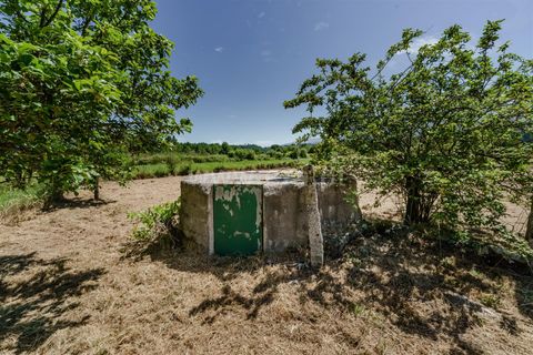 Landejendom i Seia, Guarda, Seia - € 40.000 | Ref: 382250010 - foto 8