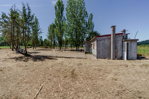 Landejendom i Seia, Guarda, Seia - € 40.000 | Ref: 382250010 - foto 12