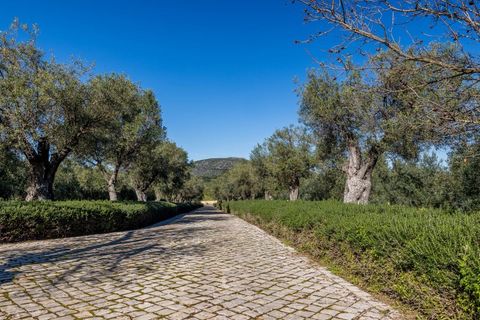 Villa i Moncarapacho, Faro, Moncarapacho - € 2.950.000 | Ref: ALG2395 - foto 22