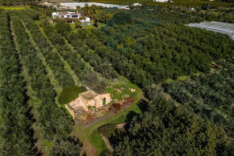 Villa i Moncarapacho, Faro, Moncarapacho - € 2.950.000 | Ref: ALG2395 - foto 23