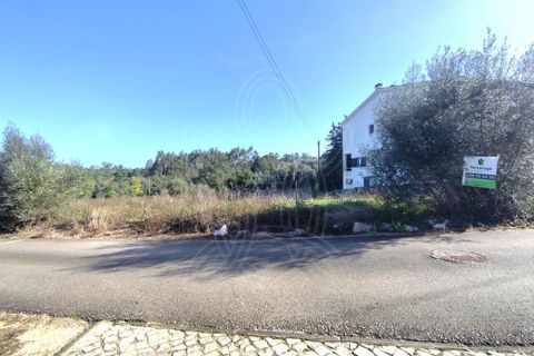 Helårsgrund i Coimbra, Coimbra, Coimbra - € 47.500 | Ref: cdx0863 - foto 2