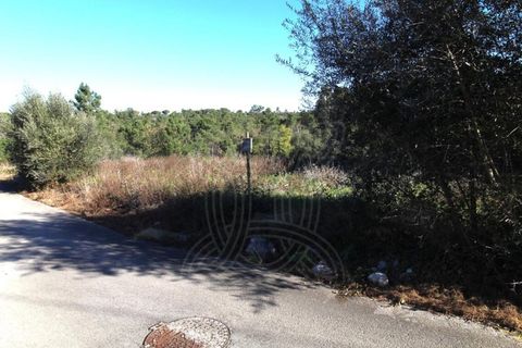 Helårsgrund i Coimbra, Coimbra, Coimbra - € 47.500 | Ref: cdx0863 - foto 6