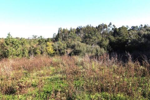 Helårsgrund i Coimbra, Coimbra, Coimbra - € 47.500 | Ref: cdx0863 - foto 8