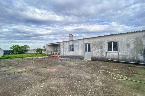 Byhus i Peniche, Leiria, Peniche - € 450.000 | Ref: 00064 - foto 5