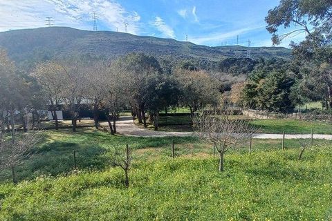 Byhus i Loures, Lisbon, Loures - € 1.850.000 | Ref: 111631 - foto 11