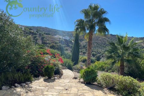 Villa i Alcaucin, Malaga, Alcaucin - € 575.000 | Ref: ALC163 - foto 43