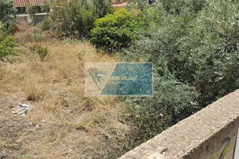 Helårsgrund i Noto, Siracusa, Noto - € 110.000 | Ref: NT TCIT 11 - foto 2