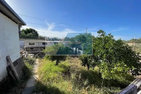 Tomt i Melilli, Siracusa, Melilli - € 50 000 | Ref: RIF. BEL TCIT 40 - foto 8