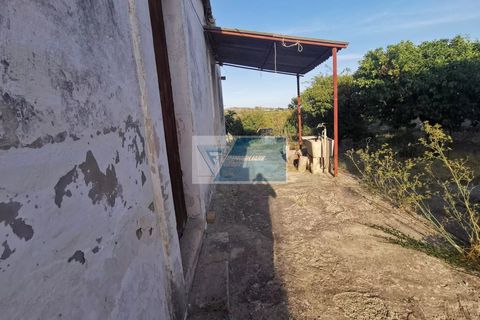 Villa i Noto, Siracusa, Noto - € 40.000 | Ref: NT VCAM 30 - foto 7