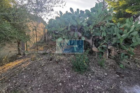 Villa i Noto, Siracusa, Noto - € 40.000 | Ref: NT VCAM 30 - foto 12