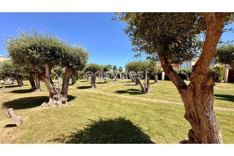 Villa i Guia, Faro, Guia - € 1.400.000 | Ref: AL95446LP - foto 12