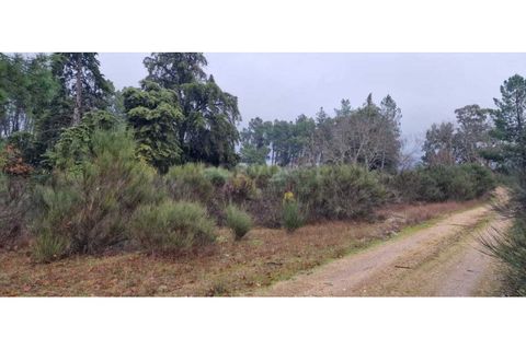 Tomt i Peraboa, Castelo Branco, Peraboa - € 201 685 | Ref: CB96609MA - foto 2