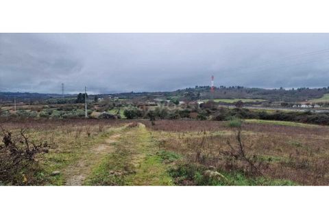 Tomt i Peraboa, Castelo Branco, Peraboa - € 201 685 | Ref: CB96609MA - foto 3