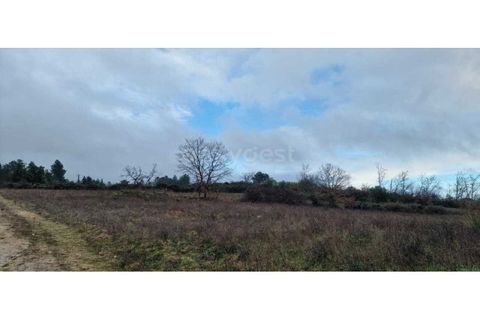 Tomt i Peraboa, Castelo Branco, Peraboa - € 201 685 | Ref: CB96609MA - foto 4