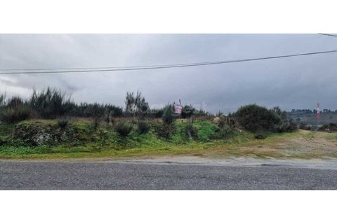 Tomt i Peraboa, Castelo Branco, Peraboa - € 201 685 | Ref: CB96609MA - foto 5