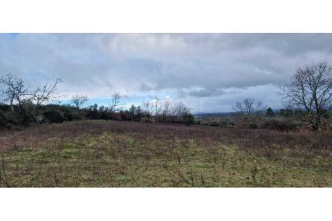 Tomt i Peraboa, Castelo Branco, Peraboa - € 201 685 | Ref: CB96609MA - foto 6
