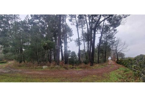 Tomt i Peraboa, Castelo Branco, Peraboa - € 201 685 | Ref: CB96609MA - foto 7