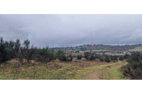Tomt i Peraboa, Castelo Branco, Peraboa - € 201 685 | Ref: CB96609MA - foto 9
