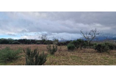 Tomt i Peraboa, Castelo Branco, Peraboa - € 201 685 | Ref: CB96609MA - foto 10