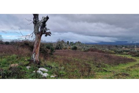Tomt i Peraboa, Castelo Branco, Peraboa - € 201 685 | Ref: CB96609MA - foto 11
