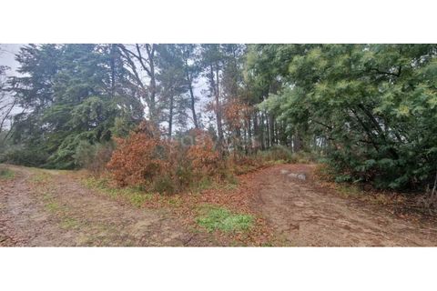 Tomt i Peraboa, Castelo Branco, Peraboa - € 201 685 | Ref: CB96609MA - foto 13