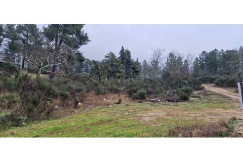 Tomt i Peraboa, Castelo Branco, Peraboa - € 201 685 | Ref: CB96609MA - foto 14