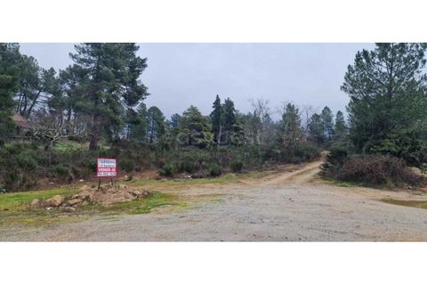 Tomt i Peraboa, Castelo Branco, Peraboa - € 201 685 | Ref: CB96609MA - foto 16