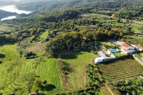 Farm i Azere e Covelo, Coimbra, Azere e Covelo - € 599.000 | Ref: RR96495 - foto 6